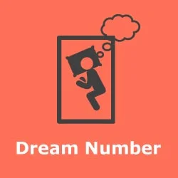 Night teer Dream Number